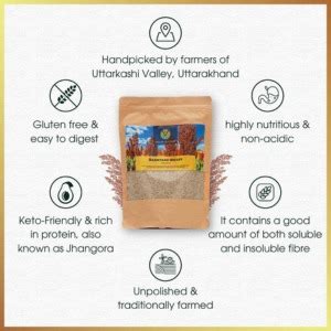 Valley Culture Himalayan Barnyard Millet | Pack of 2 (500g each ...