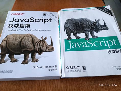 Image result for JavaScript the Definitive Guide