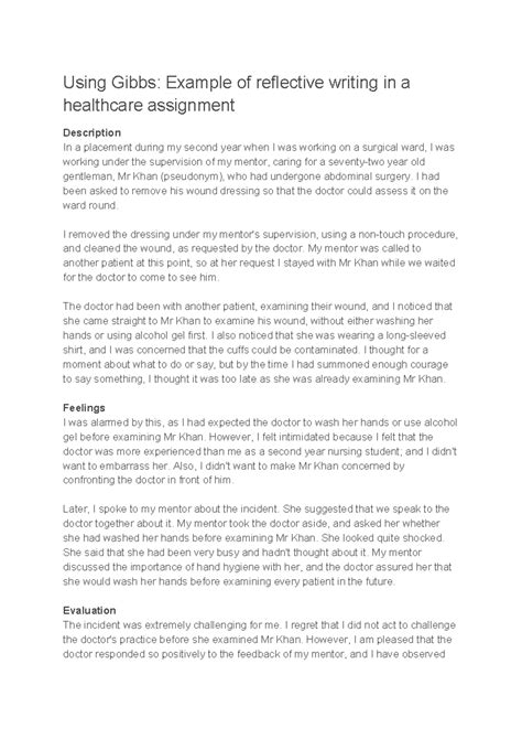 Gibbs Reflective Example 的图像结果