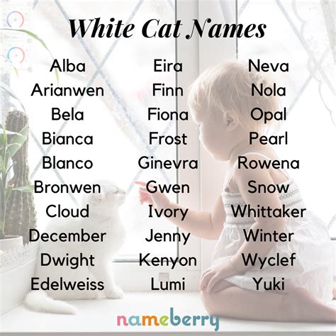 White Cat Names | Cat names, Cute names, Cool names