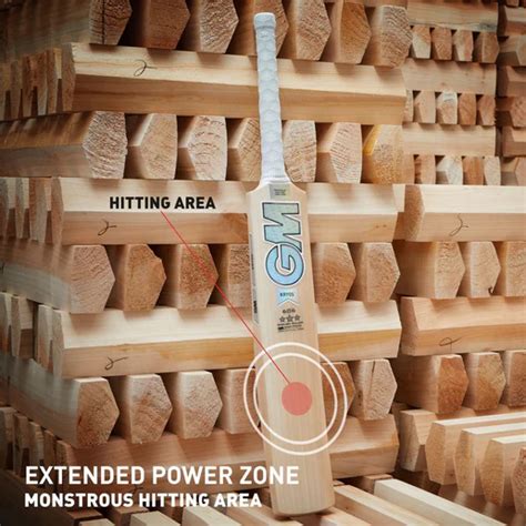 GM KRYOS 707 English Willow Cricket Bat | Zoomcricket.in
