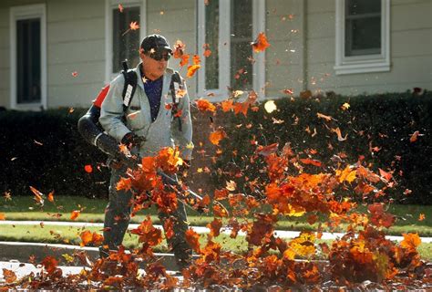 States and towns consider banning gas-powered leaf blowers and lawn mowers Minimalist