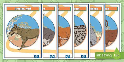 Saudi Wildlife Animal Posters (teacher made) - Twinkl