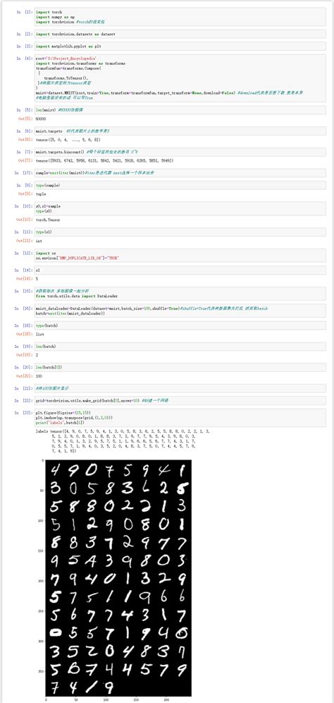 Pytorch Dataset 的图像结果