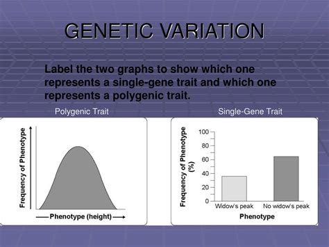Image result for Variation Graph