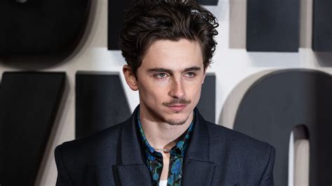 Timothée Chalamet: Ícono de la moda y defensor del medio ambiente - Fan ...