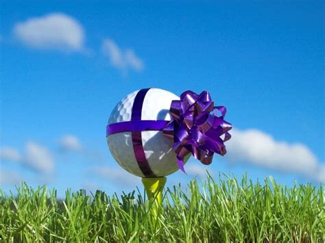 Image result for Golf Practice Alignment Sticks