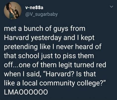 Harvard? Never heard of her | Really funny, Funny relatable memes ...
