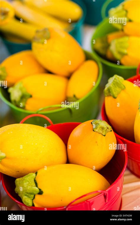 Local Organic Produce 的图像结果