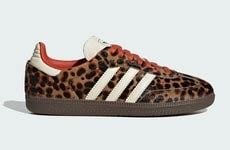 Animal Patterned Sneakers : Nike and Offspring Zebra Pack