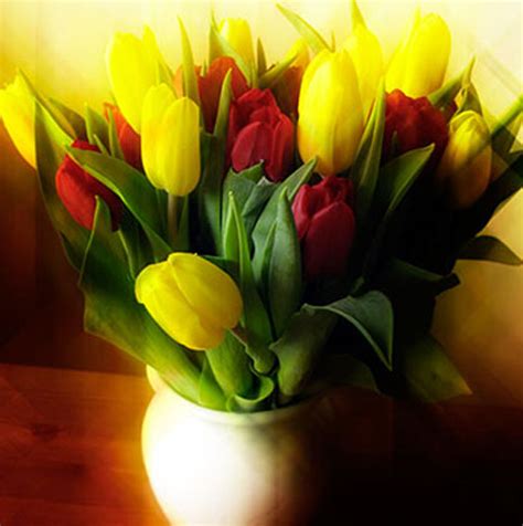 Image result for Good Photoshop Tutorials