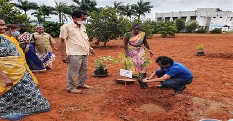 Home-National Research Center for Grapes