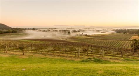 10/10 wine tasting and picnic - Reviews, Photos - Audrey Wilkinson ...