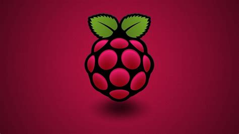 Image result for Raspberry Color Background HD