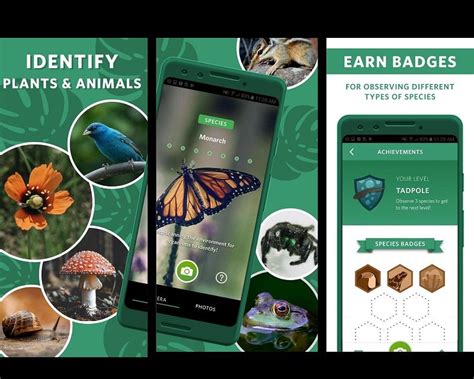 Edible Plant Identification App 的图像结果
