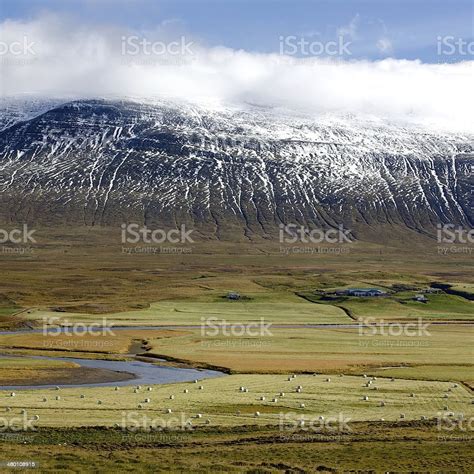 Icelandic Farmland Stock Photo - Download Image Now - Agricultural Field, Agriculture, Cloud ...