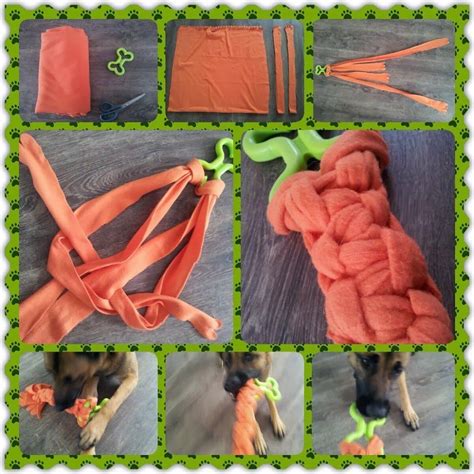 Image result for Homemade Interactive Games for Dogs