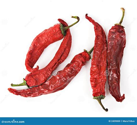 Dried Red Hot Chili Peppers Stock Photo - Image of pepper, cook: 2409008