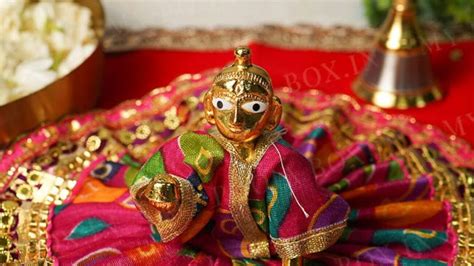 क्या लड्डू गोपाल को साथ में सफर पर ले जाना है सही? जानिए क्या कहता है ...