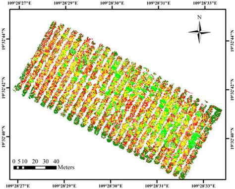 Monitoring the Severity of Rubber Tree Infected with Powdery Mildew ...