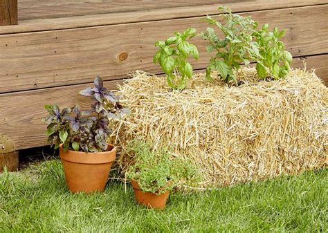 How To Hay Bale Garden at Christopher Etheridge blog