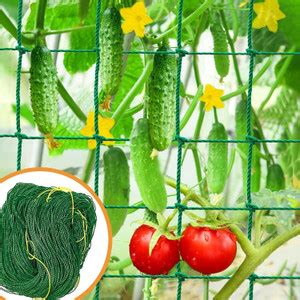 Grinny Plant Climbing Net & 15Ft x 6Ft Creeper Support Gardening ...