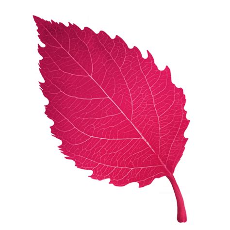 File:Sticker Env Leaf 4.webp - bg3.wiki