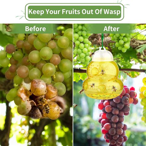 Buy Wasp Trap, Yellow Jacket Trap Outdoor Hanging, Wasp Repellent ...