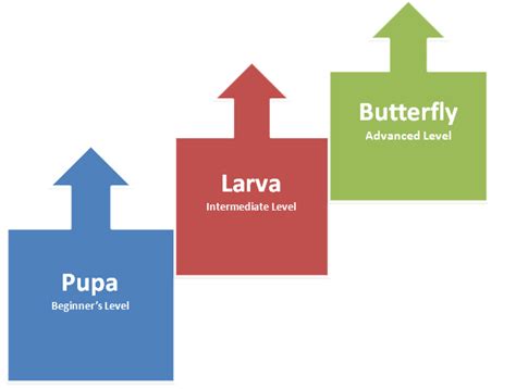 The GeeKay School in Vellore | Adventure Camp