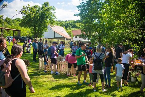 Jarní zahradní slavnost s ovečkami 2025, Kománkův mlýn, Uhersky Brod ...