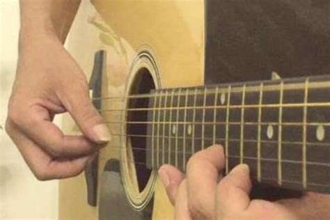 【吉他零基础入门】第3课-吉他调音教学-吉他如何调音-大树音乐屋_哔哩哔哩_bilibili