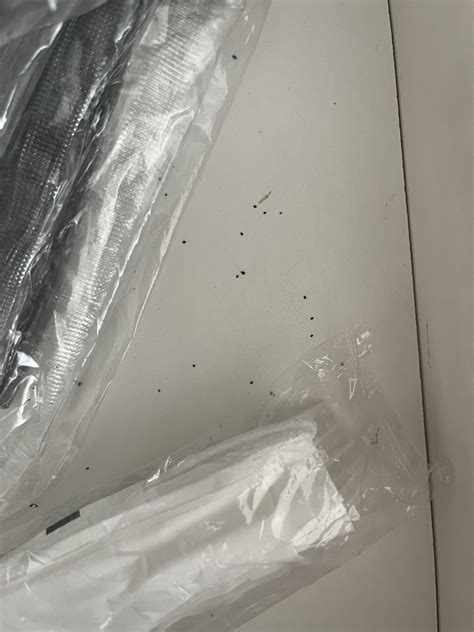 Cockroach Droppings 的图像结果