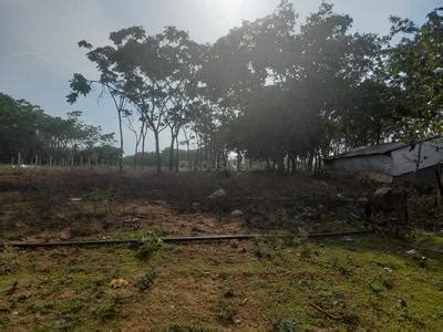 Siddhartha Siddhi Green Woods Location Map Hunsur, Mysore