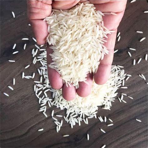 Pusa Non Basmati Rice Exporter, Supplier from Saharanpur