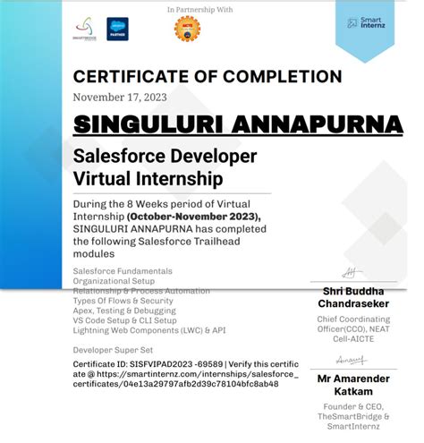 Image result for Salesforce Developer Virtual Internship