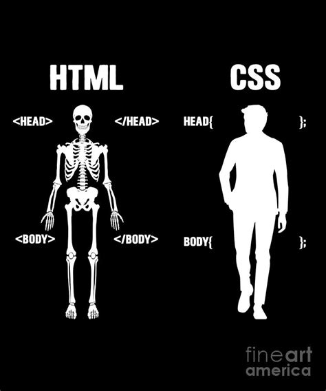 Image result for HTML Programmer or Coder