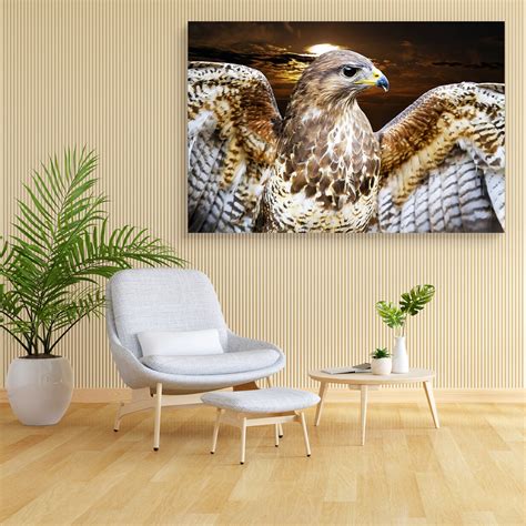 Buzzard Bird Buteo Canvas Painting Synthetic Frame – ArtzFolio.com