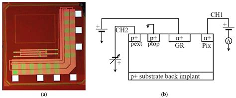 Preliminary Characterization of an Active CMOS Pad Detector for ...