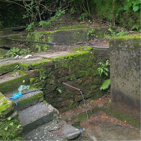 Himalayan Spring Revival: Kolbong's Community-Led Water Success