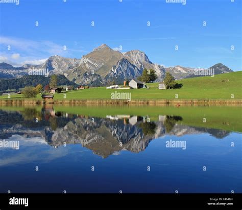 Alps Encoder 的图像结果