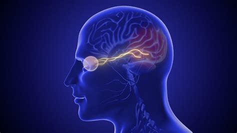 Popular Diabetes Drugs Ozempic and Wegovy Tied to Rare Eye Disease ...