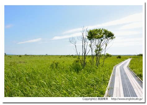 Image result for Generate a Pic for the Python Coding Language