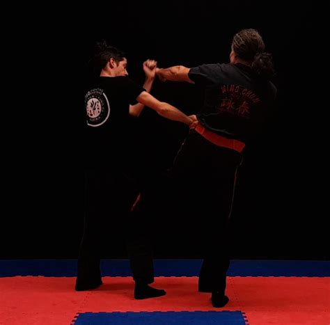 Wing Chun – Video Dojo