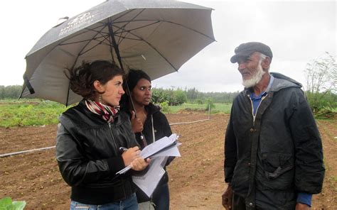 Timeline - Smart Agriculture Mauritius