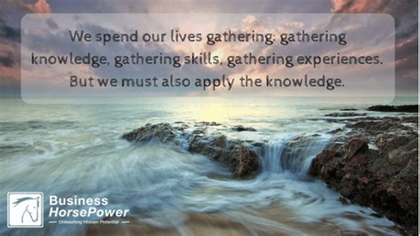 Application Knowledge Examples 的图像结果