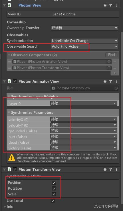 Unity Photon 2 的图像结果