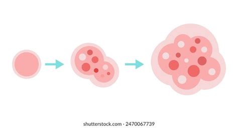 How Is Cancer Caused Animation View 的图像结果