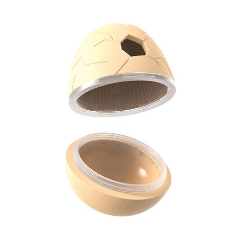 Image result for Outer Shell Egg