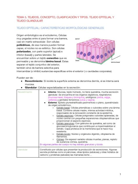 Image result for Informational Data Example